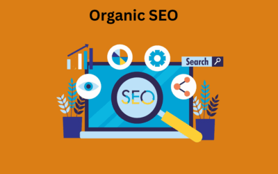 Organic SEO