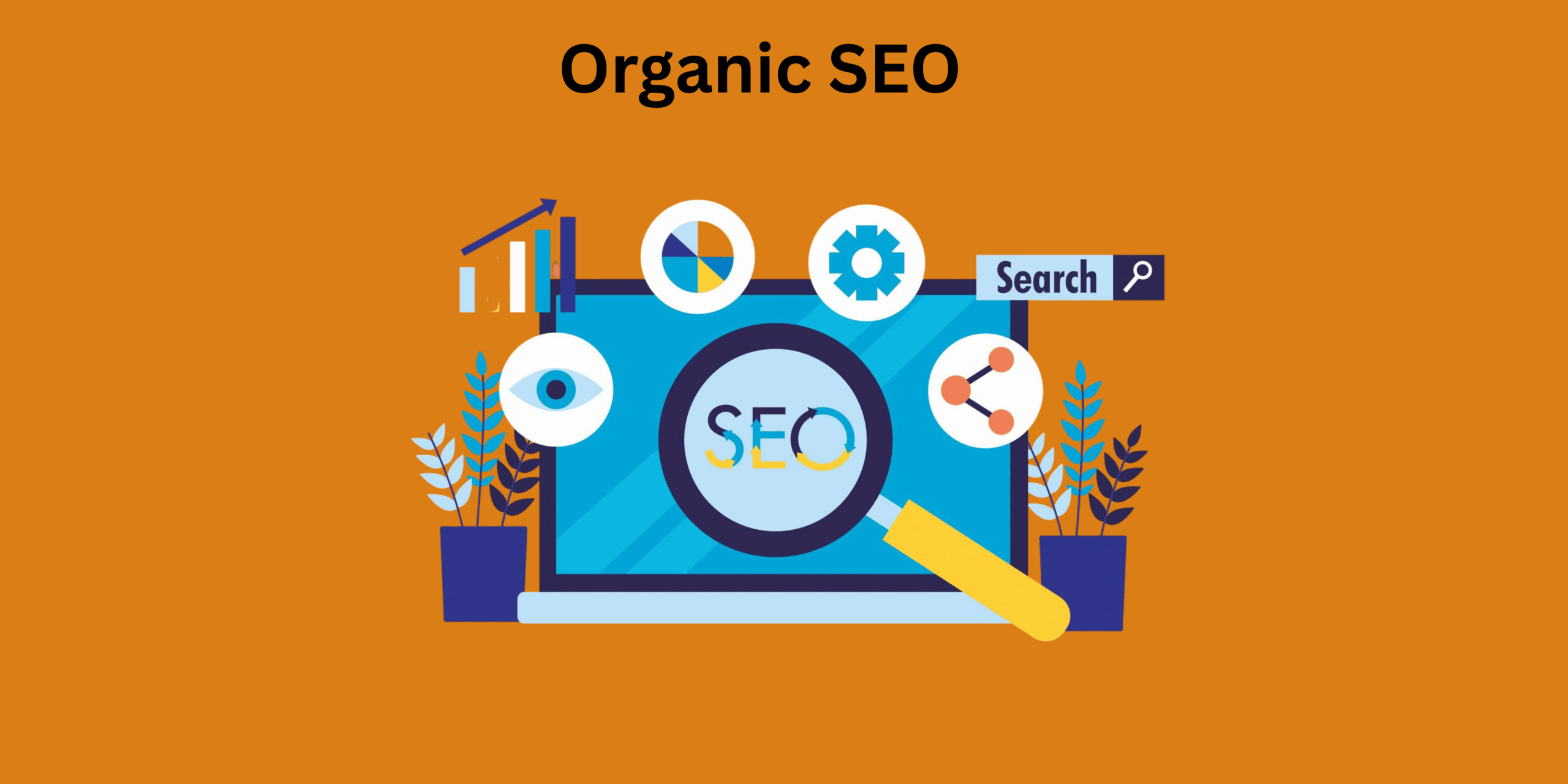 Organic SEO