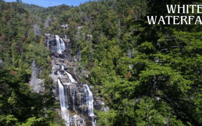 Explore the Best White Waterfalls in the White Mountains: Trails, Views & Travel Tips
