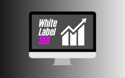 Best White Label SEO: The Ultimate Guide for Agencies and Resellers