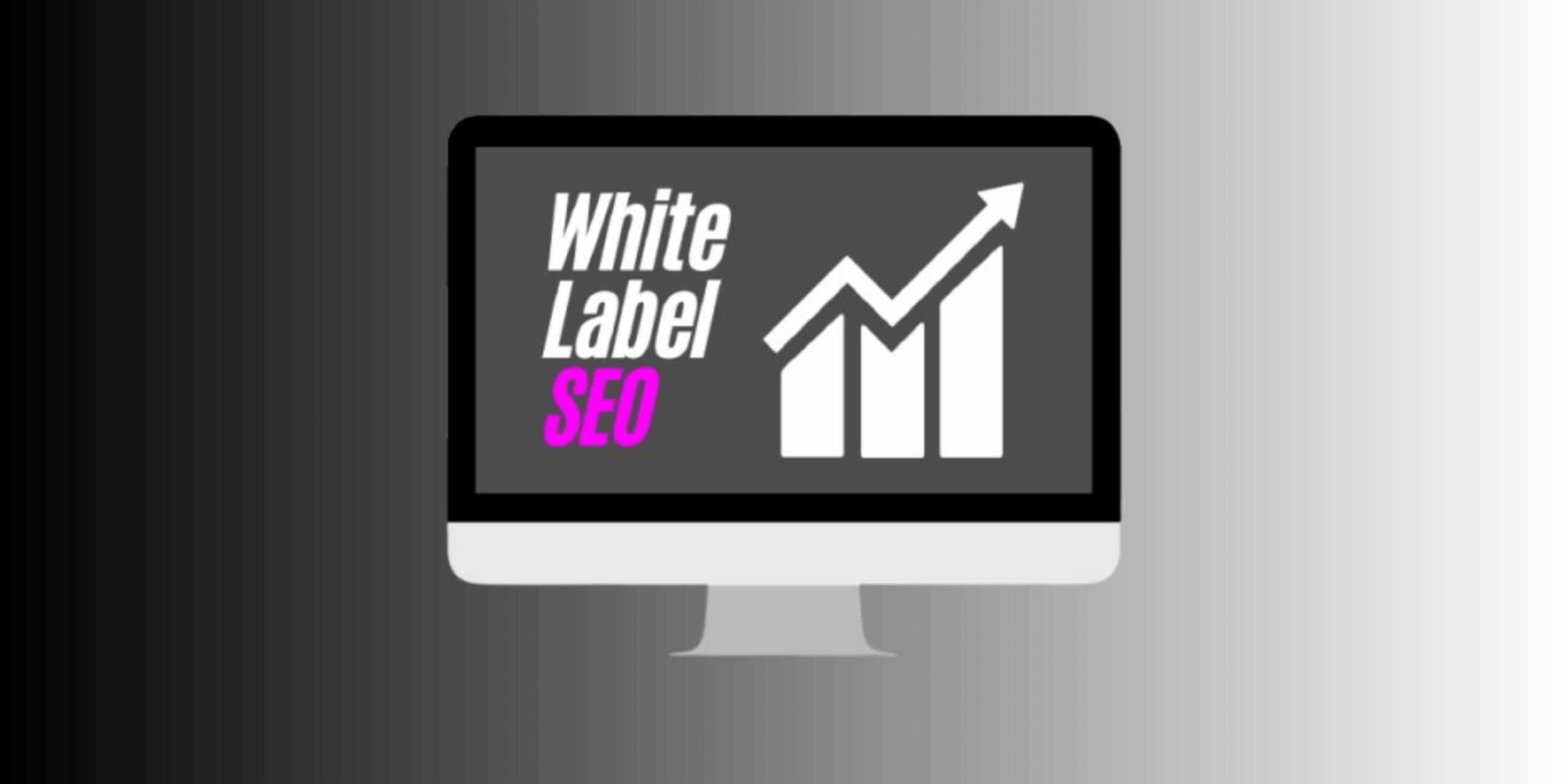 Best White Label SEO: